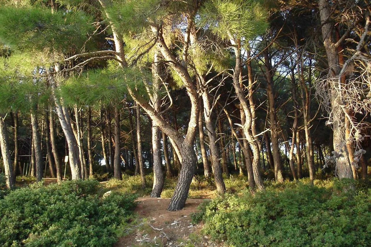 Holiday Home In Pula/Istrien 11083 Veruda